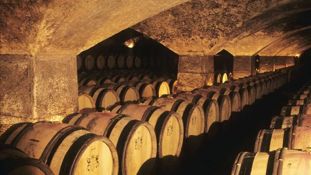 How to store wine in a humid cellar